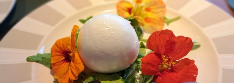 20230830_184742-scaled