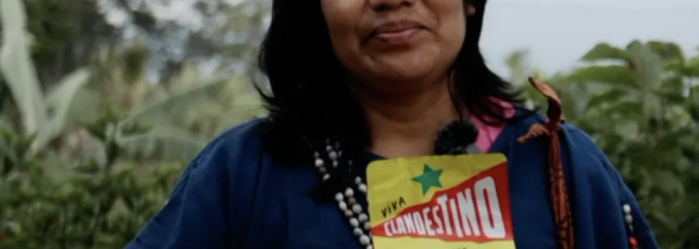 vivaclandestino-banner